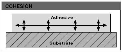 5c137757dcf0b.jpg 1.jpg