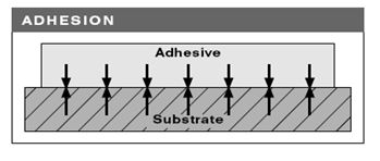 5c1377ed58fc9.jpg 1.jpg